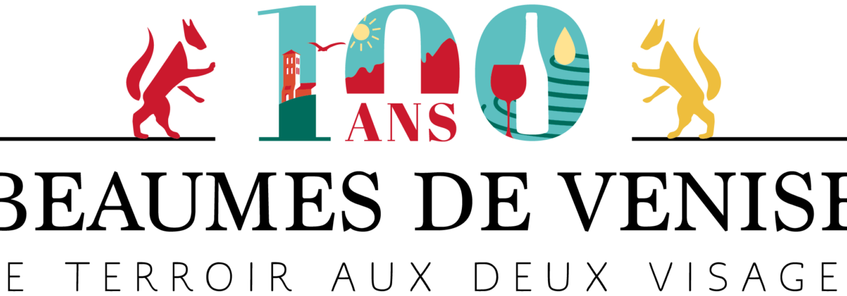 logo 100 ans