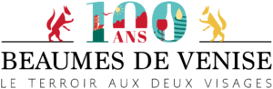 logo 100 ans