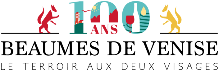 logo 100 ans